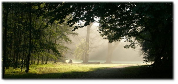 Claudia Gravenhorst - Krisencoach, Konfliktlösung